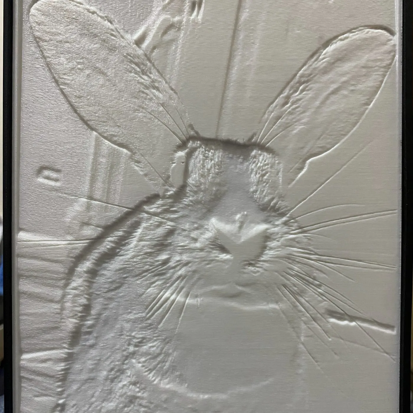 Litofanía apagada: el retrato se ve como un relieve blanco